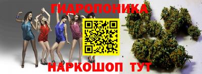 ALPHA PVP Будённовск