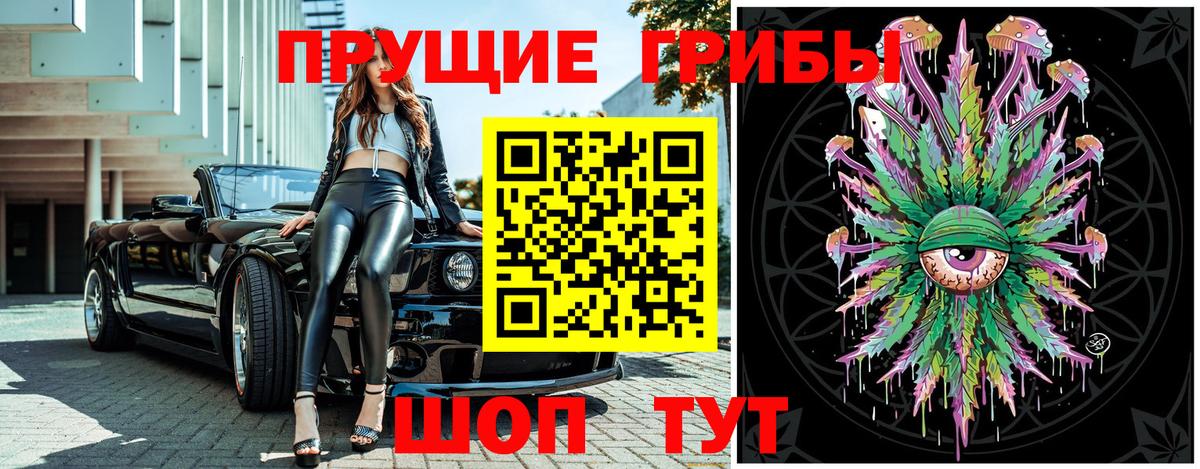 Псилоцибиновые грибы мицелий Протвино