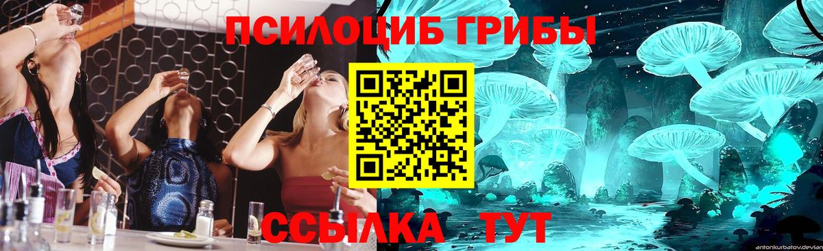 Протвино  цена наркотик  Вход с VPN  Галлюциногенные грибы ЛСД 